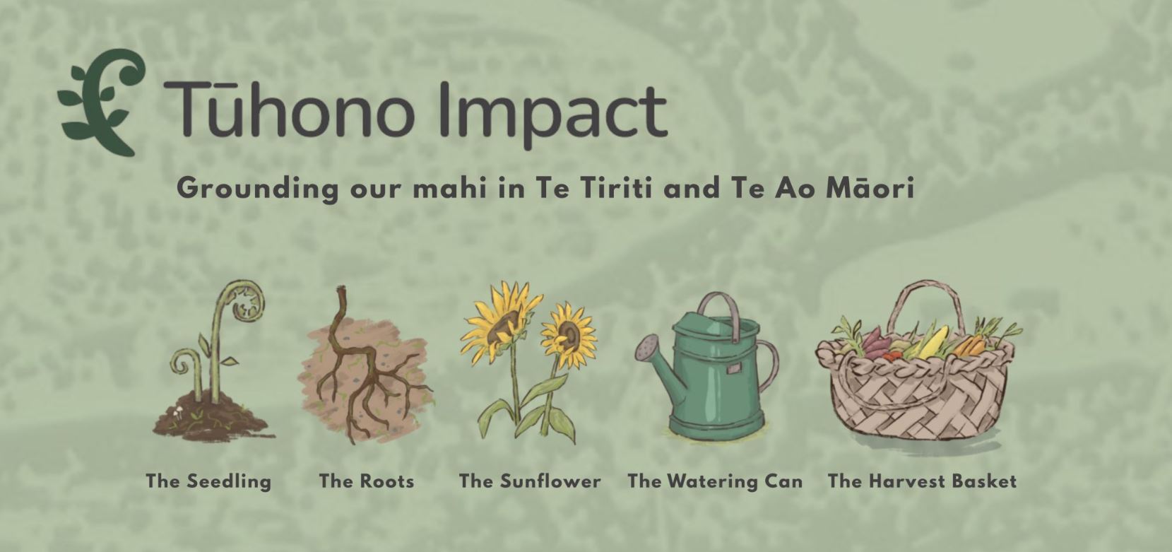 Tuhono impact imagery